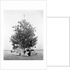 Christmas Tree with Presents and Toys by Anonymous