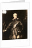 Portrait of John of Nassau by Anonymous