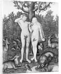 Adam and Eve in Garden of Eden by Anonymous