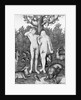 Adam and Eve in Garden of Eden by Anonymous