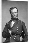 General William Tecumseh Sherman by Corbis