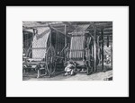 Illustration Depicting Calico Printing at a Factory by Corbis