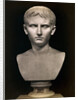 Bust of Augustus Caesar by Anonymous