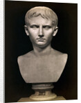 Bust of Augustus Caesar by Anonymous