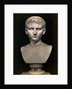 Bust of Augustus Caesar by Anonymous