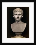 Bust of Augustus Caesar by Anonymous