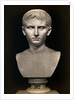 Bust of Augustus Caesar by Anonymous