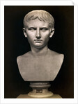 Bust of Augustus Caesar by Anonymous