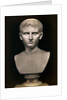Bust of Augustus Caesar by Anonymous