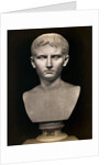 Bust of Augustus Caesar by Anonymous