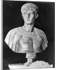 Bust of Caligula in Military Attire by Anonymous