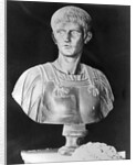 Bust of Caligula in Military Attire by Anonymous