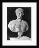 Bust of Caligula in Military Attire by Anonymous