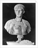 Bust of Caligula in Military Attire by Anonymous