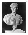 Bust of Caligula in Military Attire by Anonymous