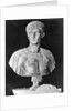 Bust of Caligula in Military Attire by Anonymous