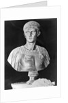Bust of Caligula in Military Attire by Anonymous