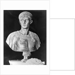 Bust of Caligula in Military Attire by Anonymous