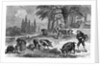 Truffle-Gathering in France by Anonymous