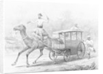 People Riding in Camel Drawn Coach by Anonymous