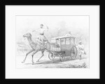 People Riding in Camel Drawn Coach by Anonymous