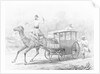 People Riding in Camel Drawn Coach by Anonymous