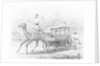 People Riding in Camel Drawn Coach by Anonymous