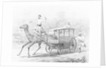 People Riding in Camel Drawn Coach by Anonymous