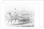 People Riding in Camel Drawn Coach by Anonymous
