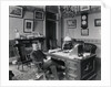 Theodore Roosevelt in Office by Anonymous