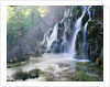 Cascade at the Source of the Rio Cuervo by Anonymous