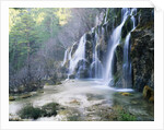 Cascade at the Source of the Rio Cuervo by Anonymous