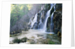 Cascade at the Source of the Rio Cuervo by Anonymous