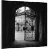 Plant Motif on an Iron Gate by Anonymous