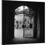Plant Motif on an Iron Gate by Anonymous