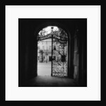 Plant Motif on an Iron Gate by Anonymous