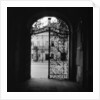 Plant Motif on an Iron Gate by Anonymous