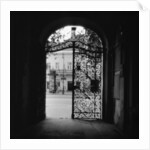 Plant Motif on an Iron Gate by Anonymous