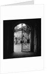 Plant Motif on an Iron Gate by Anonymous
