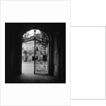 Plant Motif on an Iron Gate by Anonymous
