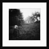 Scarecrows in a Small Vegetable Garden by Anonymous