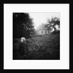 Scarecrows in a Small Vegetable Garden by Anonymous