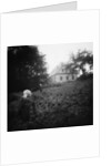 Scarecrows in a Small Vegetable Garden by Anonymous