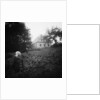 Scarecrows in a Small Vegetable Garden by Anonymous