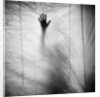 Shadow of a Hand Against Cloth by Anonymous
