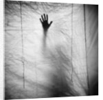 Shadow of a Hand Against Cloth by Anonymous