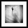 Shadow of a Hand Against Cloth by Anonymous