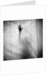 Shadow of a Hand Against Cloth by Anonymous
