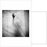 Shadow of a Hand Against Cloth by Anonymous
