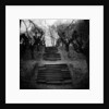 Run-Down Stairway Among Leafless Cherry Trees by Anonymous